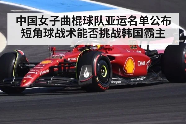 中国女子曲棍球队亚运名单公布 短角球战术能否挑战韩国霸主（kaiyun）